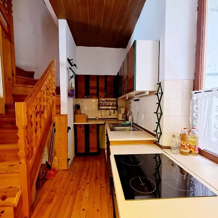 Old Dolphin House By The