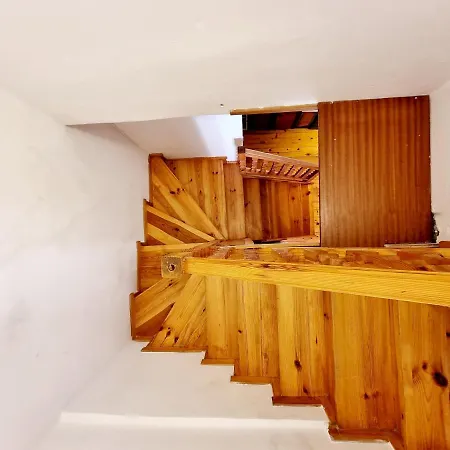 Old Dolphin House By The Apartament Piran