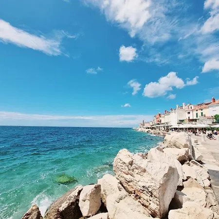 Appartement Old Dolphin House By The