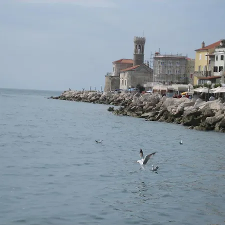 Old Dolphin House By The Appartement