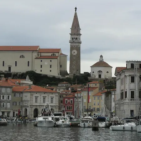 Old Dolphin House By The