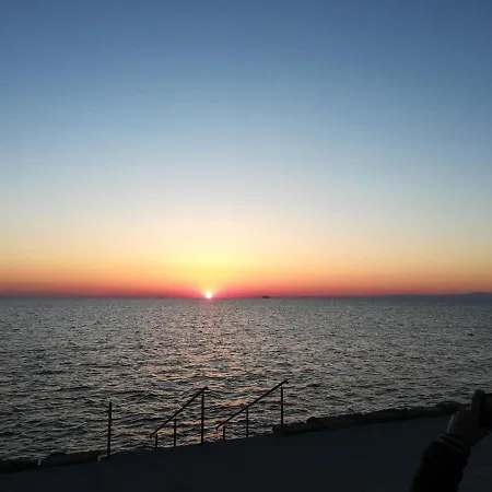 Old Dolphin House By The