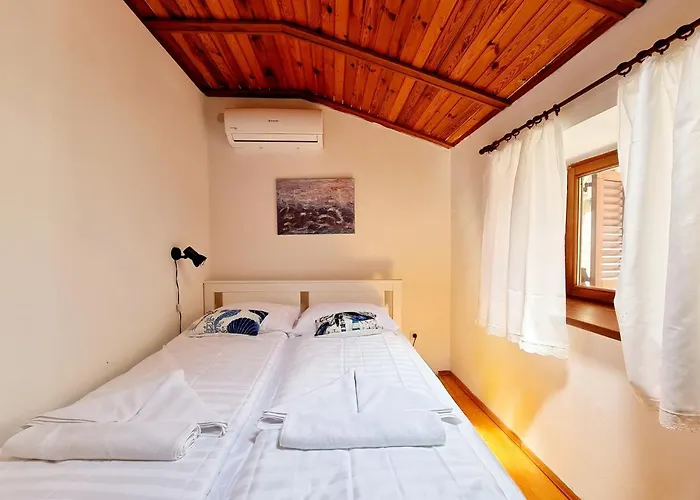 Old Dolphin House By The