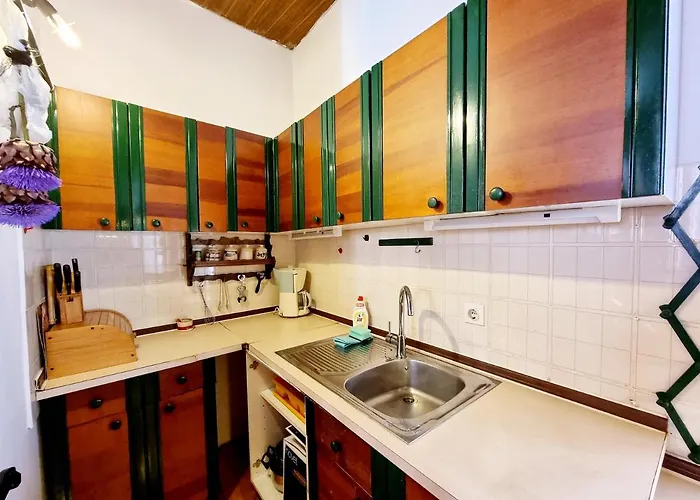 Old Dolphin House By The Appartamento *