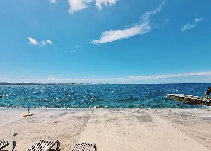 Old Dolphin House By The Appartamento Pirano