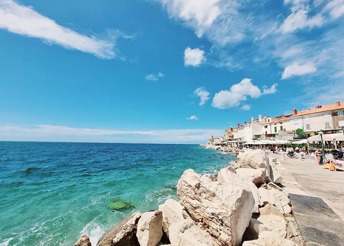 Apartman Old Dolphin House By The