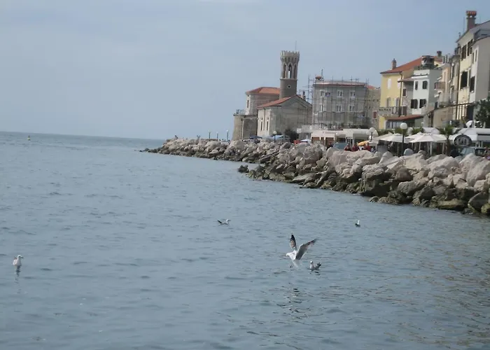 Old Dolphin House By The Appartamento